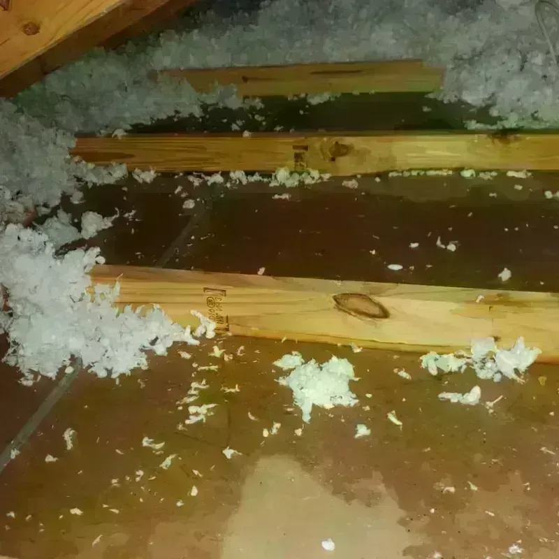 Best Attic Water Damage Service in Stilwell, OK