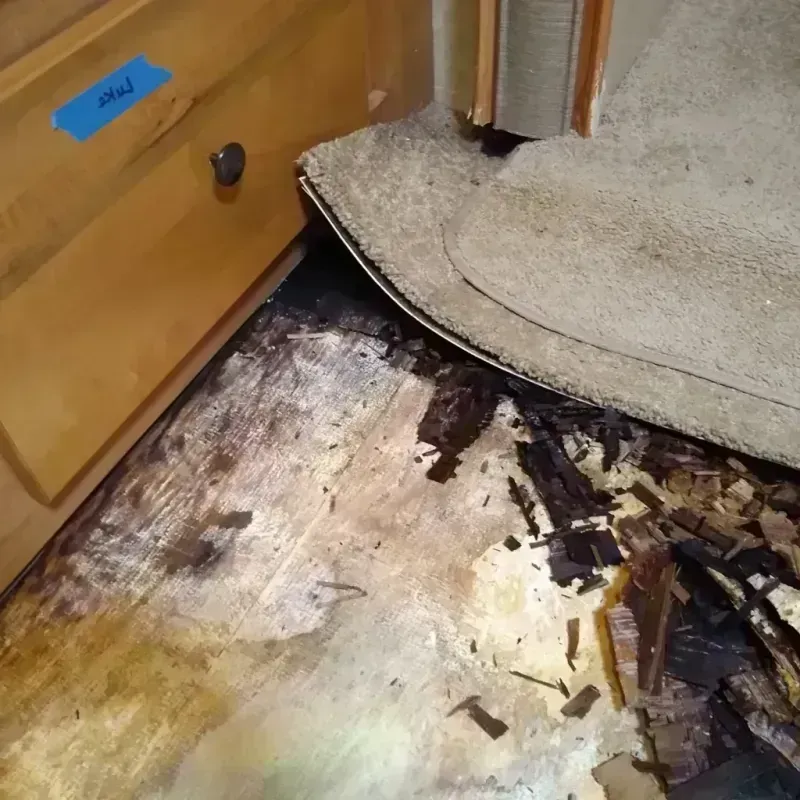 Best Wood Floor Water Damage Service in Stilwell, OK